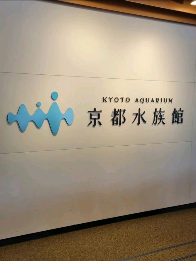 【京都/涼感スポット】暑い季節🥵に、目も身体も涼まる❄️スポットへお出かけしませんか？！🤍