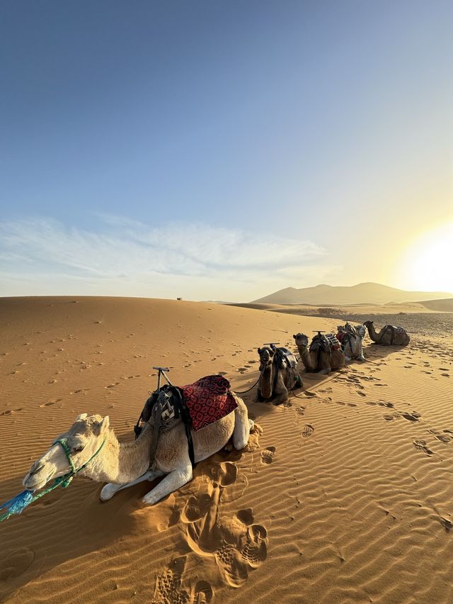 《摩洛哥-撒哈拉沙漠 Morocco Sahara Desert 》