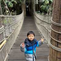 【 迪士尼泰山樹屋4個必訪景點 】