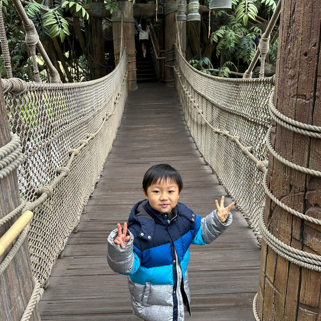 【 迪士尼泰山樹屋4個必訪景點 】