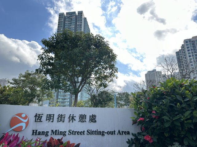香港好去處．坐港鐵屯馬線去賞櫻(二)．馬鞍山恆明街  坐 #港鐵屯馬線 除了可以去天水圍公園賞櫻，還可以去 #馬鞍山 #恆明街休憩處 #賞櫻。  在 #恆安站 下車，經A出口步行約5分鐘便