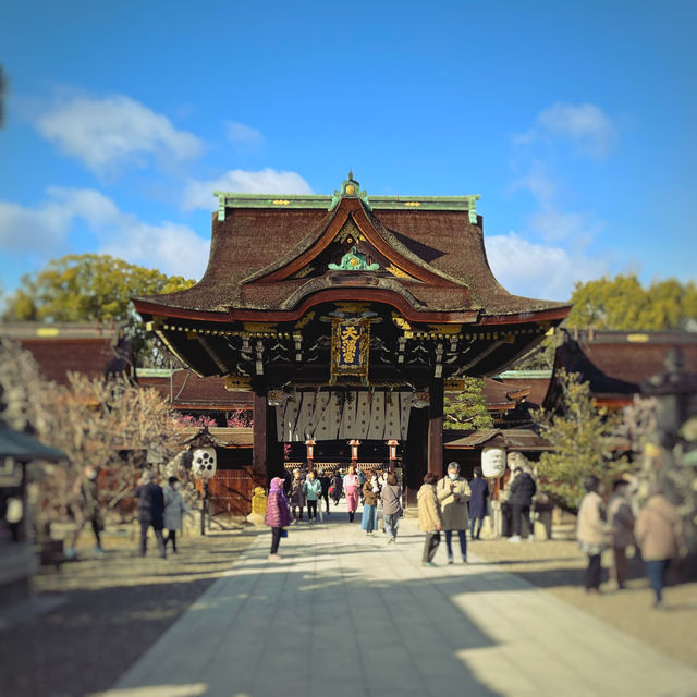 北野天満宮の桜と梅