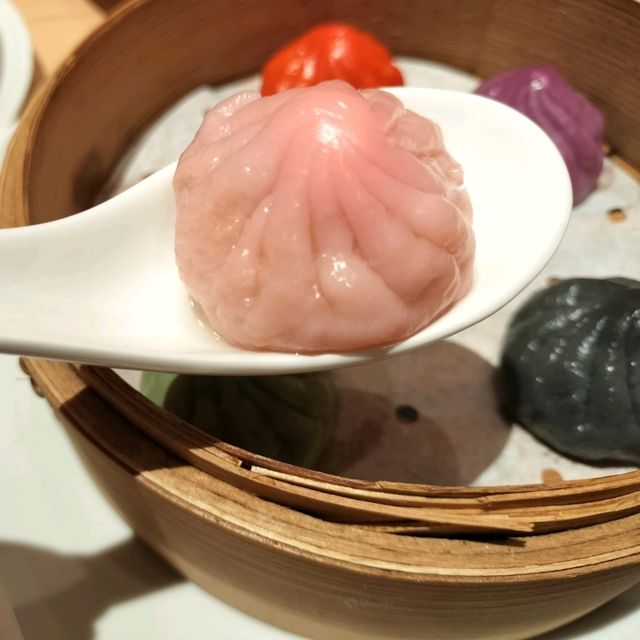 春の岐阜旅🌸さくら旅とおすすめのグルメ