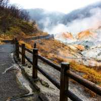 Jigokudani Monkey Park นากาโน่