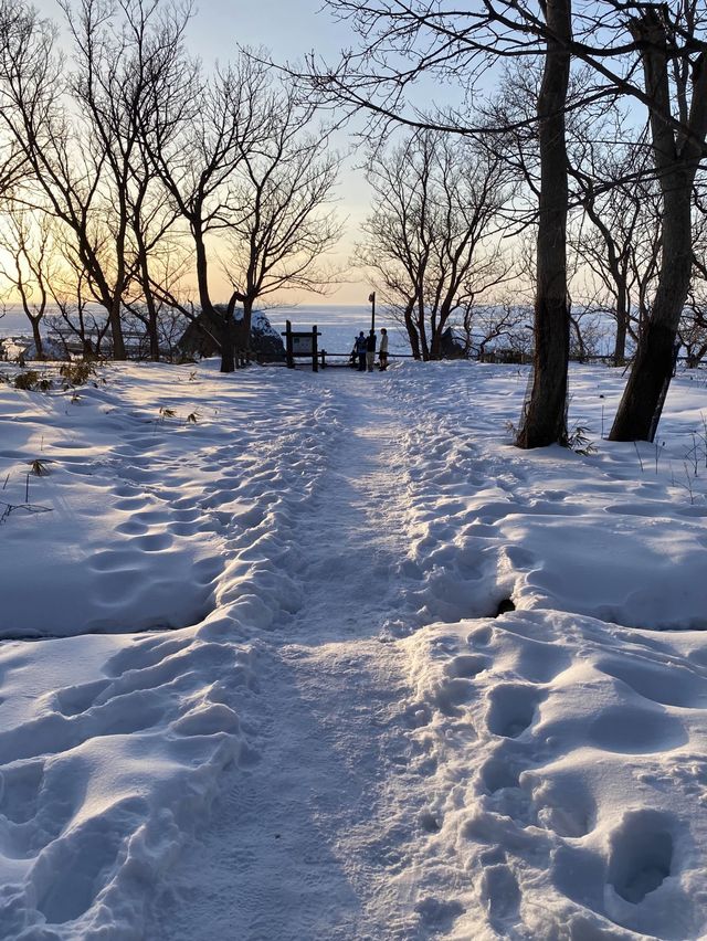 2024年流氷！知床八景の夕陽台