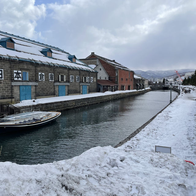 走進浪漫雪國的輕鬆行程❄️