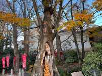 秩父今宮神社　@秩父