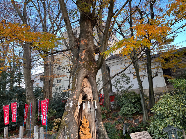 秩父今宮神社　@秩父