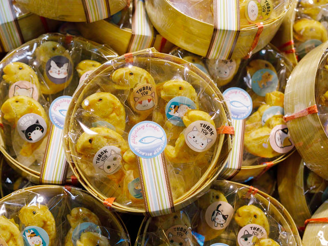 เดินชิลตลาดอัมพวา ในวันธรรมดา 