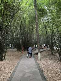 ไปตามหานักรบมังกรที่ฐานวิจัยแพนด้ายักษ์ เฉิงตู