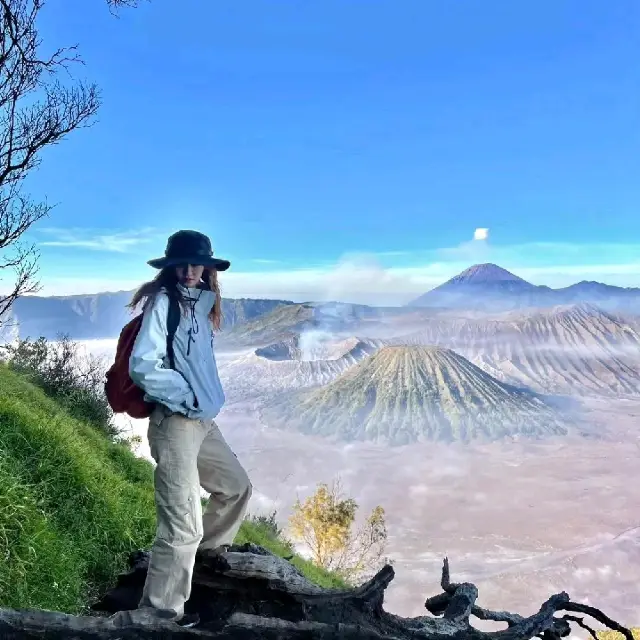 Mount Bromo 