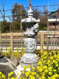 【熊野神社（恋ヶ窪）/東京都】何度も再建され今に続く