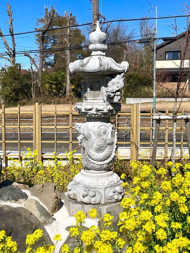 【熊野神社（恋ヶ窪）/東京都】何度も再建され今に続く