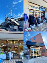 【弾丸旅行】GWも忙しい人必見🥺🌿🤍日帰りで行ける横須賀満喫プラン🚢🪼🫧【日帰り】