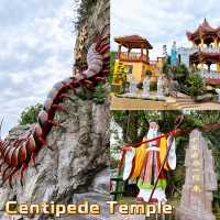 Centipede Temple Seremban