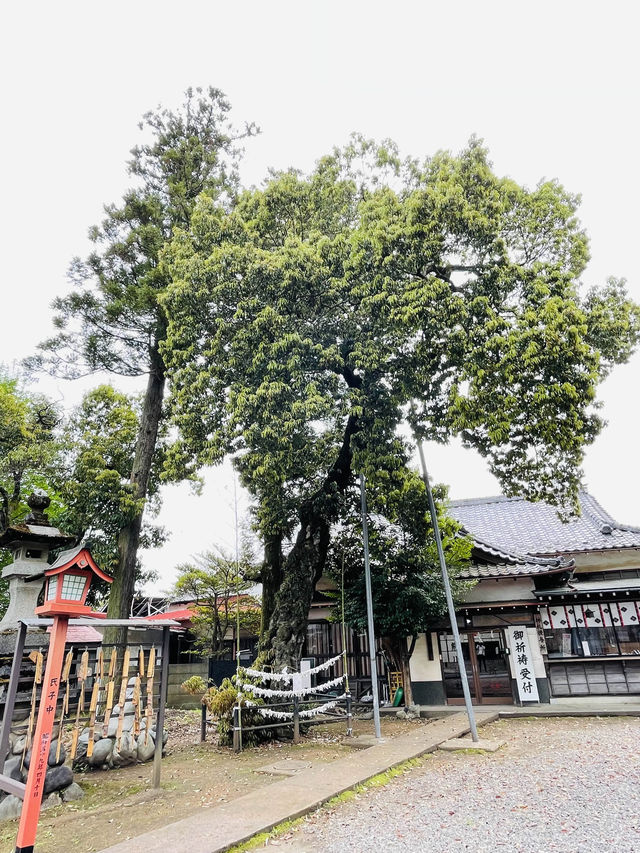 【熊川神社/東京都】七福神と出会える福生市最古の神社