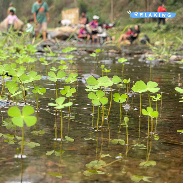 @อุทยานแห่งชาติแม่ตะไคร้