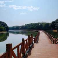 後灘濕地公園:自然王國