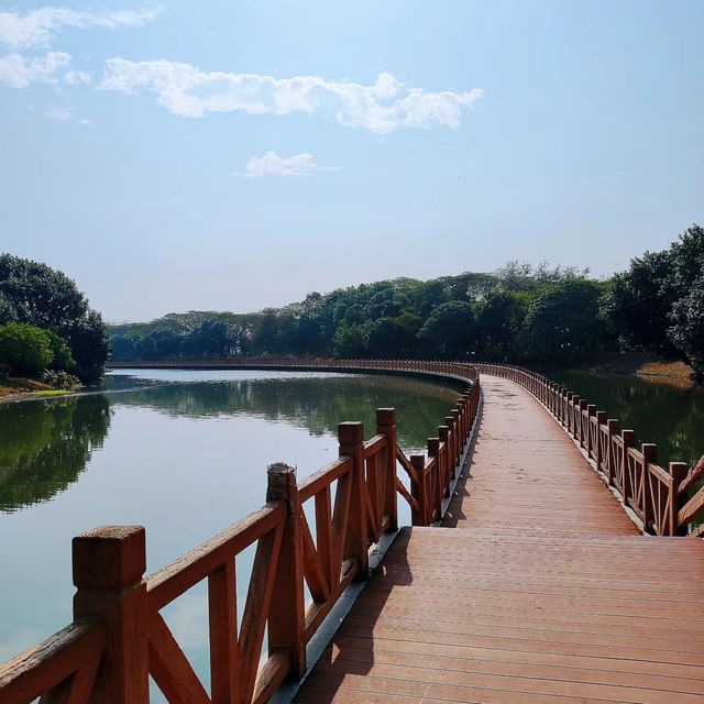 後灘濕地公園:自然王國 後灘濕地公園:自然王國