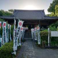 知多四国霊場！「観福寺」