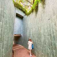 Fort Canning Tree Tunnel