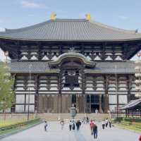 【奈良】奈良といったらココ！可愛い鹿と歴史ある建物。