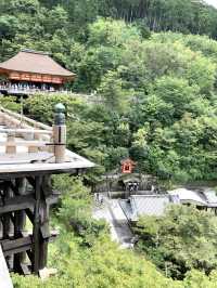 【京都観光】もうこんなに人の少ない「清水寺」は行けないかもしれない？