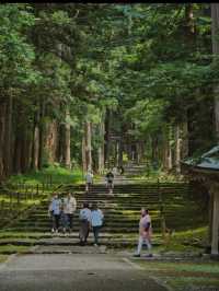 【福井】創建717年🕰 その歴史を物語る佇まいをした神社を紹介🔍