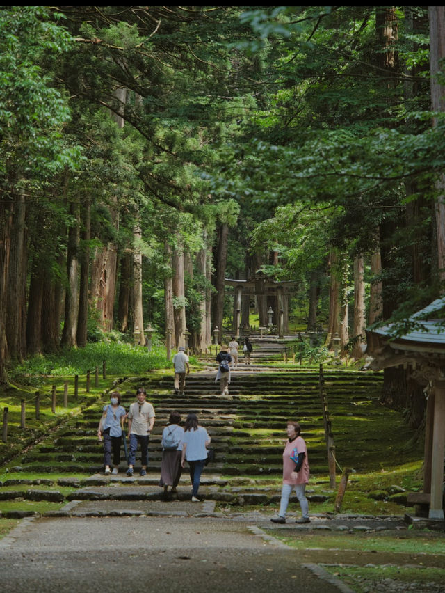 【福井】創建717年🕰 その歴史を物語る佇まいをした神社を紹介🔍
