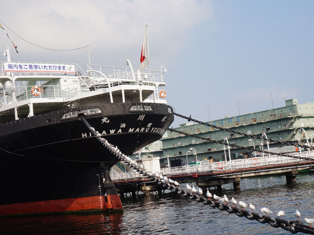 Osanbashi Pier ⛴️