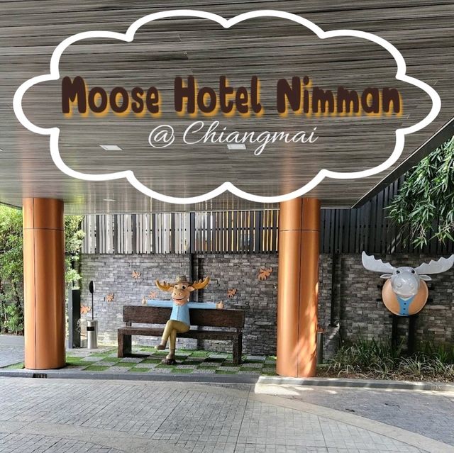 Moose Hotel Nimman