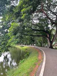 เดินชิวที่อ่างแก้ว มช.