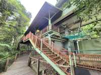 Skyrail Rainforest Cableway