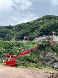 【山口観光】100m続く赤い鳥居のトンネルがある神社⛩