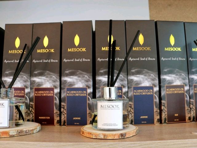 มาหาน้องหมาชามอยด์ ที่ Mesook farm
