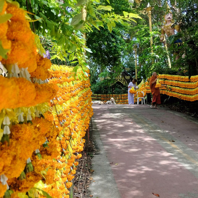Amazing Local วัดที่อยู่สูงที่สุดของประเทศไทย