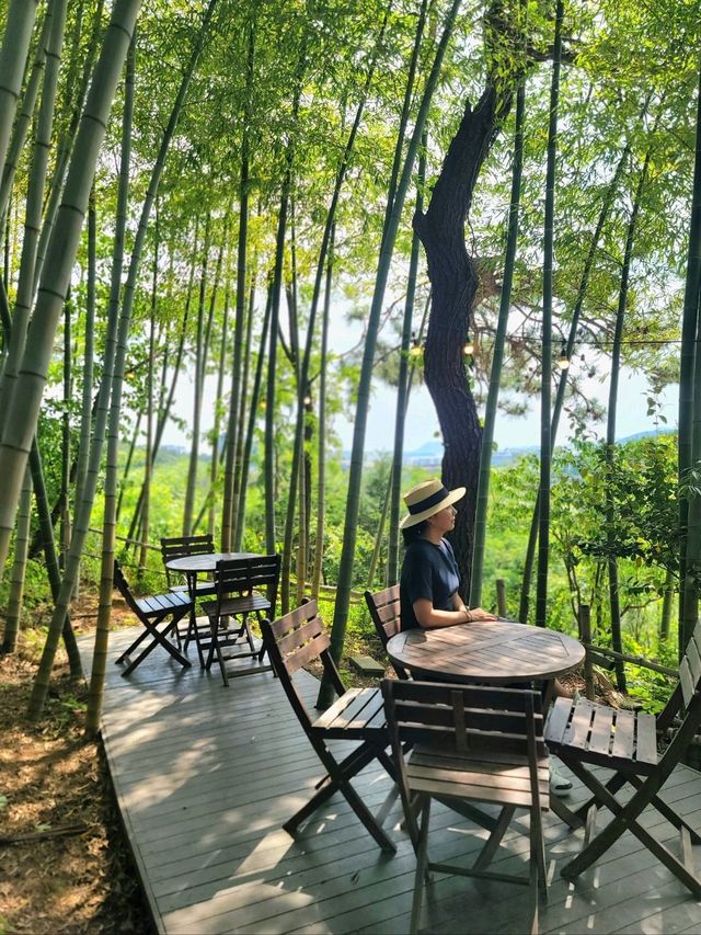 여수 치앙마이를 만나고 싶다면 바로 여기🌿