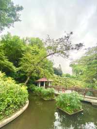 🌷元朗公園🌷繁花盛宴✨