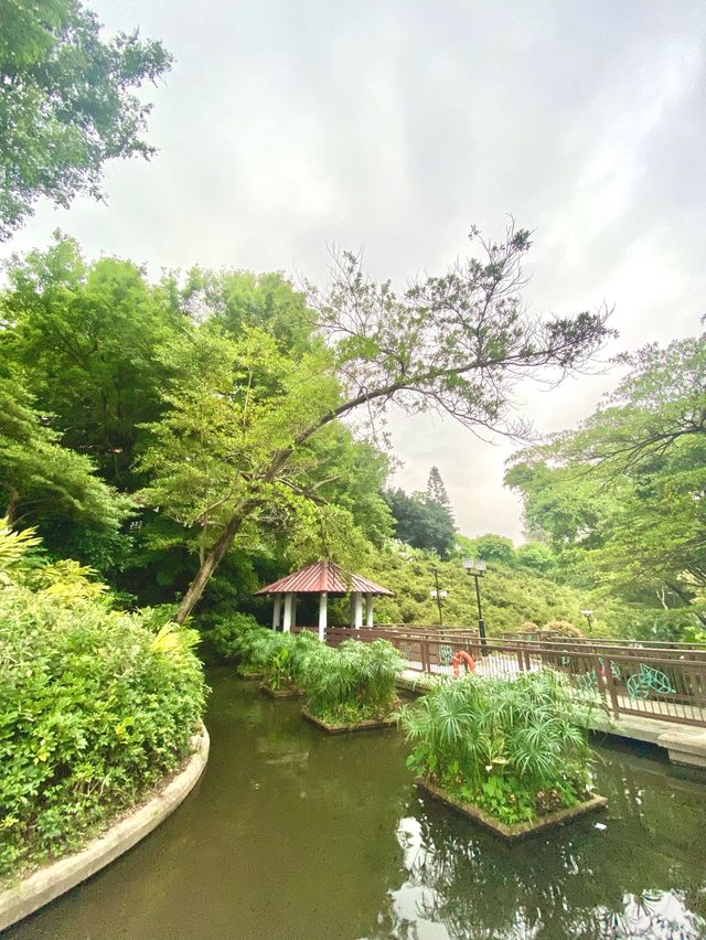 🌷元朗公園🌷繁花盛宴✨