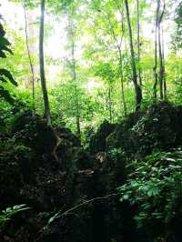 Niah National Park