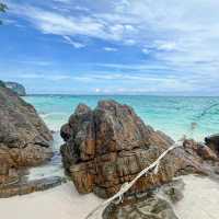 BAMBOO ISLAND 