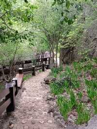 ตามรอยสังข์ทอง วนอุทยานเขานางพันธุรัต