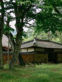 경남 사진찍기 좋은 여행지, 고성 장산숲🌳