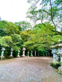 〜千葉県〜3社巡って運気UP 東国三社巡り⛩