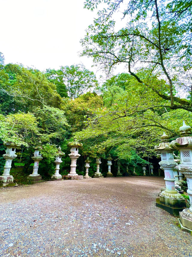 〜千葉県〜3社巡って運気UP 東国三社巡り⛩
