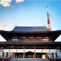 增上寺-600年歷史古寺與東京鐵塔相互輝映