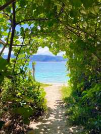 奄美大島　自然のトンネルの先にある絶景🏝️