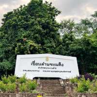 เที่ยวเขื่อนลำพระเพลิงและไหว้พระวัดป่าศรีโพธิญาณ