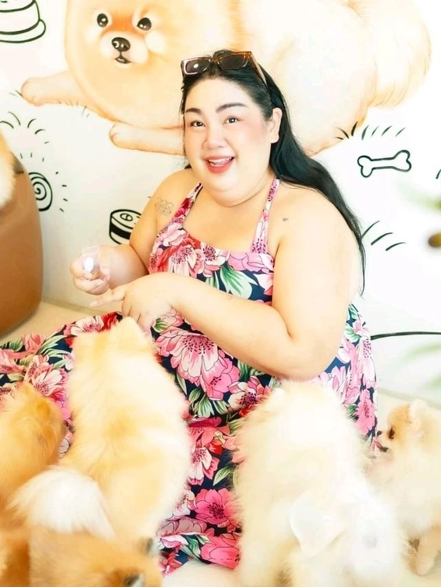คาเฟ่หมาปอม ศาลายา Happy Pom Dog 