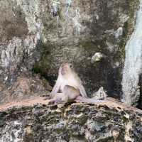 Monkey Bay Krabi